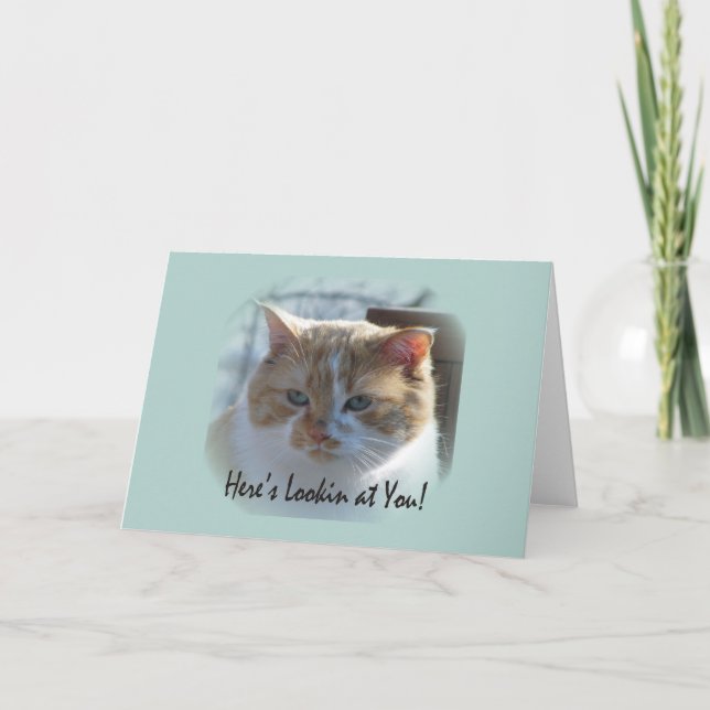 Tarjeta de felicitación de Vignette de Cat Cute (Anverso)
