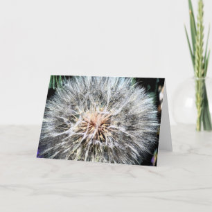 Tarjeta de felicitación de Whisps del diente de