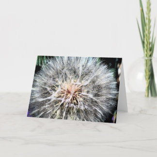 Tarjeta de felicitación de Whisps del diente de