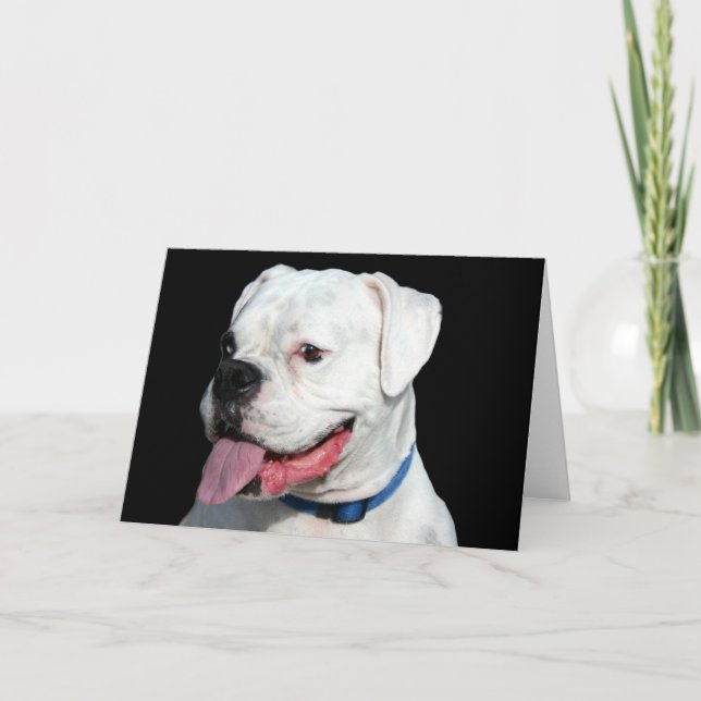 Tarjeta de felicitación de White Boxer (Anverso)