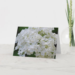 Tarjeta de felicitación de White Hydrangeas