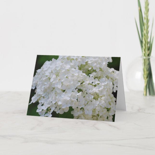 Tarjeta de felicitación de White Hydrangeas (Anverso)
