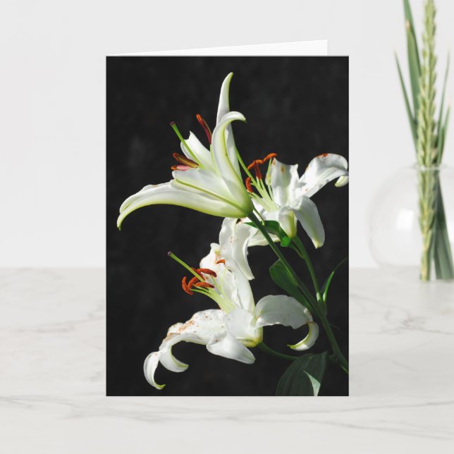 Tarjeta de felicitación de White Lilies (Anverso)