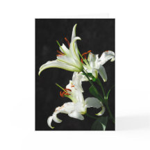 Tarjeta de felicitación de White Lilies