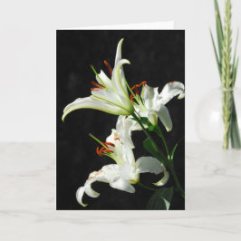 Tarjeta de felicitación de White Lilies