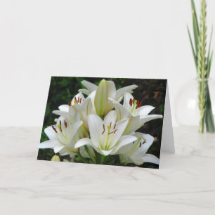 Tarjeta de felicitación de White Lilies