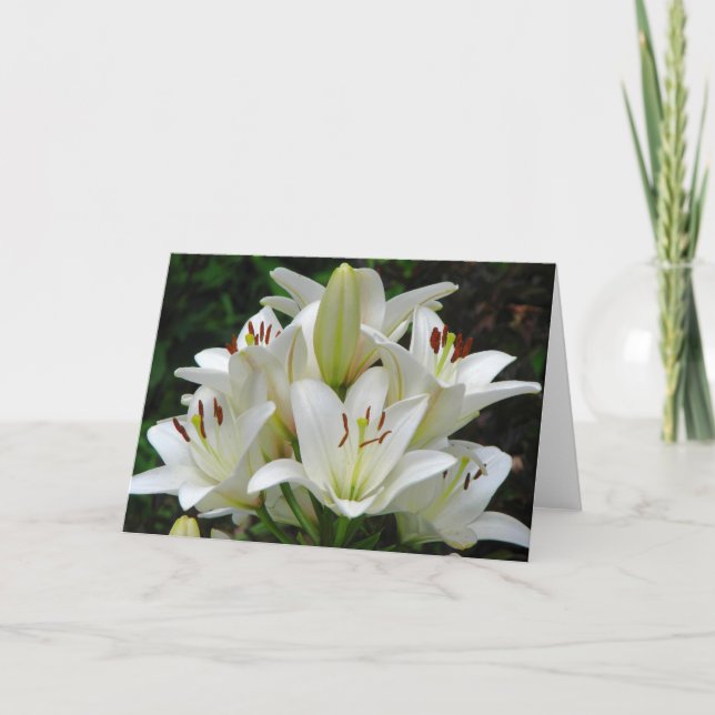Tarjeta de felicitación de White Lilies (Anverso)