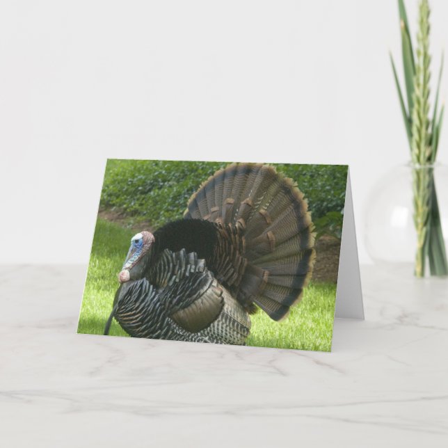 Tarjeta de felicitación de Wild Turkey (Anverso)