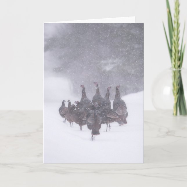 Tarjeta de felicitación de Wild Turkey (Anverso)