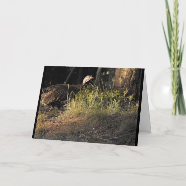 Tarjeta de felicitación de Wild Turkey (Anverso)