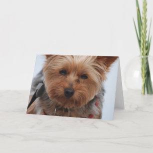 Tarjeta de felicitación de Yorkie