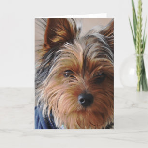 Tarjeta de felicitación de Yorkie Terrier