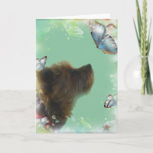 Tarjeta de felicitación de Yorkshire Terrier