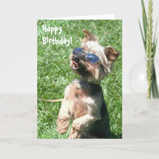 Tarjeta de felicitación de Yorkshire Terrier del