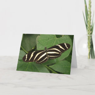 Tarjeta de felicitación de Zebra Longwing Butterfl