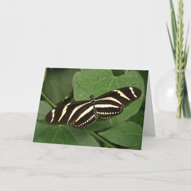 Tarjeta de felicitación de Zebra Longwing Butterfl (Anverso)