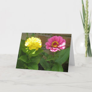 Tarjeta de felicitación de Zinnias rosa y amarilla