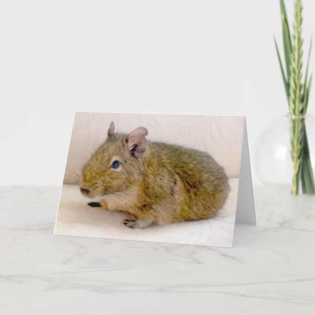 Tarjeta de felicitación Degu (Anverso)