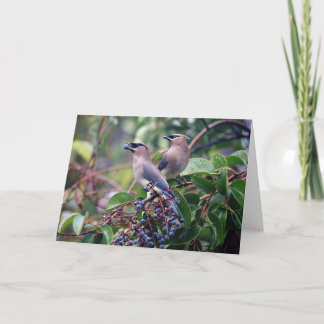 Tarjeta de felicitación del almuerzo del pájaro