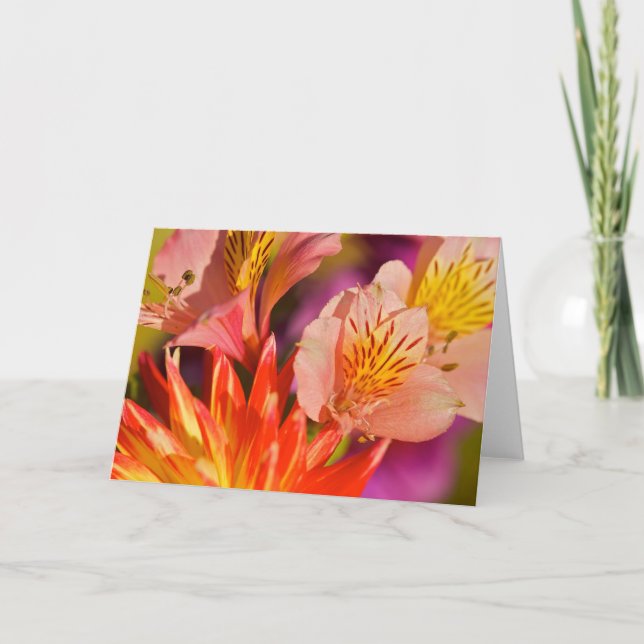 Tarjeta de felicitación del Alstroemeria (Anverso)