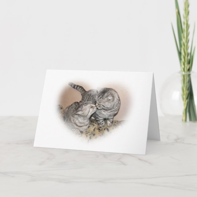 Tarjeta de felicitación del amor del gato (Anverso)