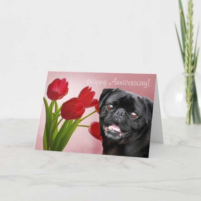 Tarjeta de felicitación del aniversario feliz Pug (Anverso)