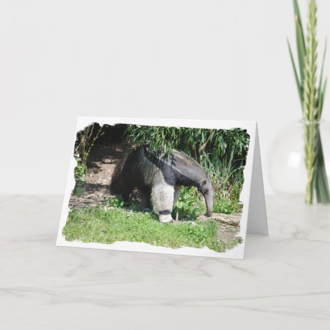 Tarjeta de felicitación del Anteater gigante (Anverso)