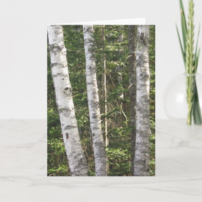 Tarjeta de felicitación del árbol de abedul (Anverso)