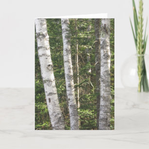 Tarjeta de felicitación del árbol de abedul