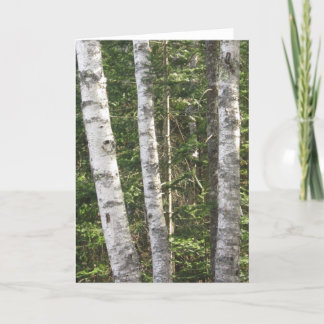 Tarjeta de felicitación del árbol de abedul