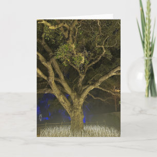 Tarjeta de felicitación del árbol de la luz