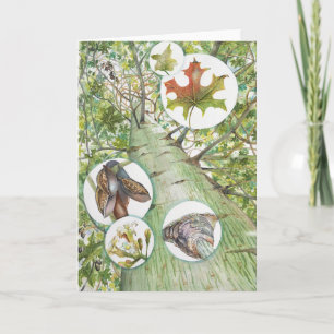 Tarjeta de felicitación del árbol del frasco (5" x