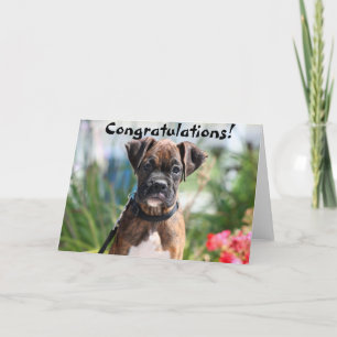 Tarjeta de felicitación del boxeador de la