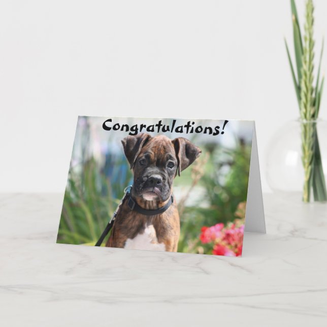 Tarjeta de felicitación del boxeador de la (Anverso)