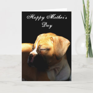 Tarjeta de felicitación del Boxer del Día de la Ma