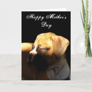 Tarjeta de felicitación del Boxer del Día de la Ma