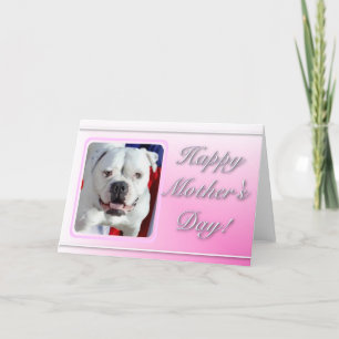Tarjeta de felicitación del Bulldog americano del 