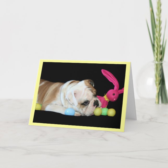 Tarjeta de felicitación del bulldog de Pascua (Anverso)