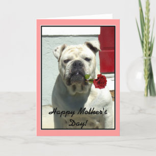 Tarjeta de felicitación del bulldog del Día de la 