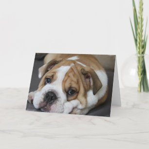 Tarjeta de felicitación del bulldog el dormir