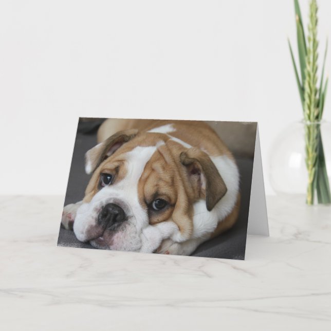 Tarjeta de felicitación del bulldog el dormir (Anverso)