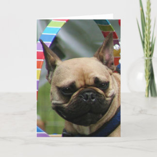 Tarjeta de felicitación del bulldog francés