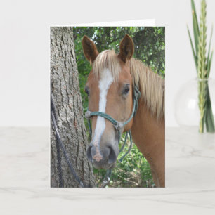 Tarjeta de felicitación del caballo