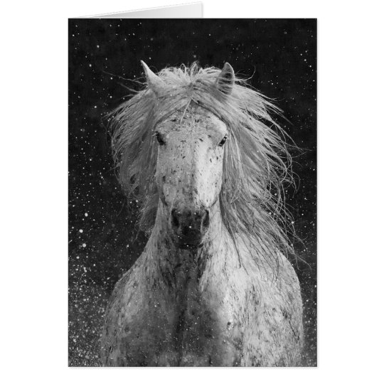 Tarjeta de felicitación del caballo del chapoteo