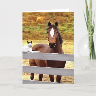 Tarjeta "de felicitación del caballo y de su gato"