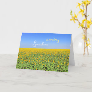 Tarjeta de felicitación del campo de girasoles Sen