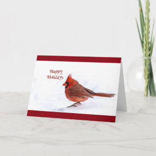 Tarjeta de felicitación del cardenal navidad