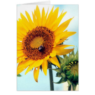 Tarjeta de felicitación del cielo azul girasol