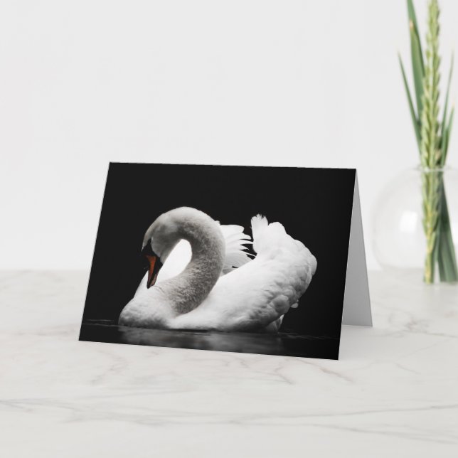 tarjeta de felicitación del cisne (Anverso)