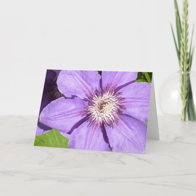 Tarjeta de felicitación del Clematis de Debbie (Anverso)